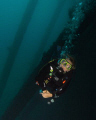   Diver under pier.DX1G wide angle lens YS110a YS25 strobe. pier. pier strobe  